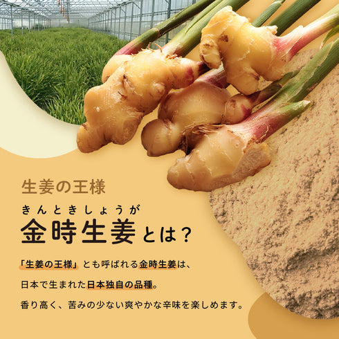Kintoki ginger powder 100g Shizuoka Makinohara